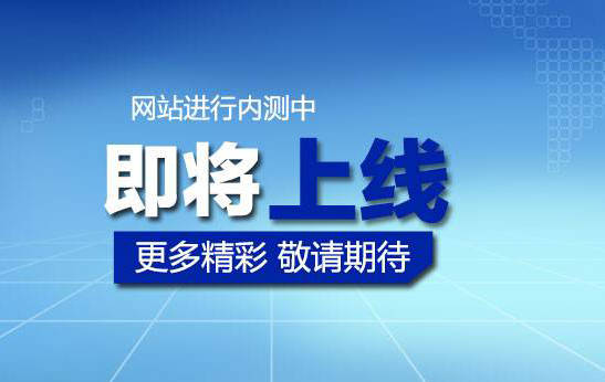 喜迎國(guó)慶,瑞賽克官方網(wǎng)站上線！